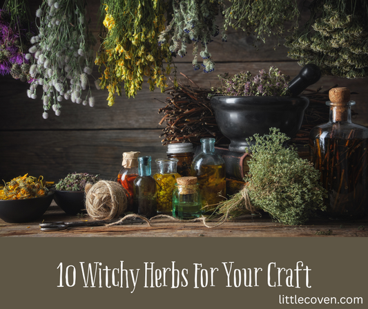 10 Must Have Witchy Herbs For Your Craft
